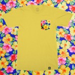 Hawaii Hibiscus T-shirt